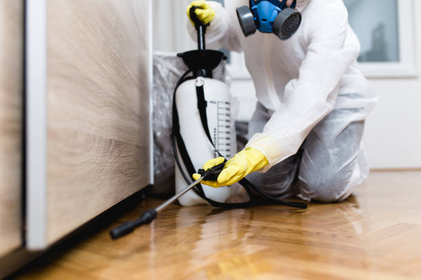 Best Pest Control for Businesses  in Covington, GA