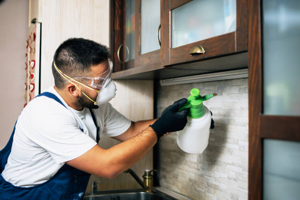 Best Emergency Pest Control  in Covington, GA