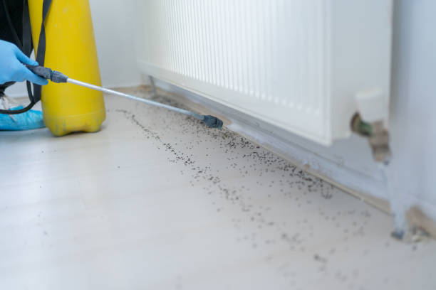 Best Bed Bug Extermination  in Covington, GA