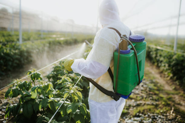 Best Wasp Removal Services  in Covington, GA